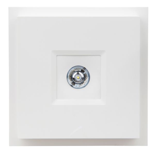 Square plug over housing B2 for emergency luminaires NLILD.. image 4