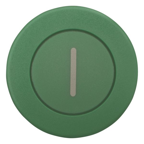 Mushroom actuator, RMQ-Titan, Mushroom, momentary, Mushroom green, green, inscribed, Bezel: black image 4