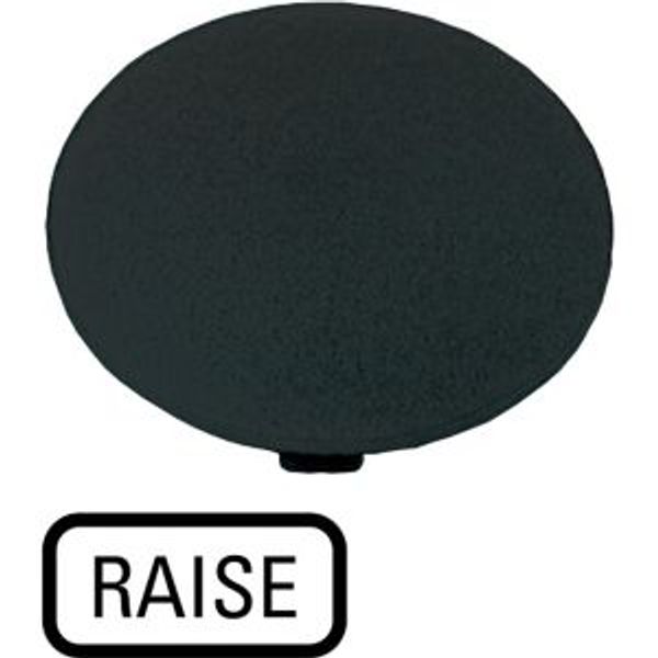 Button plate, mushroom black, RAISE image 2