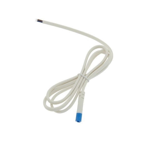 LED plug-in system Mini - conn. cable Mono 100cm Male IP20 image 1