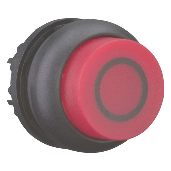 Illuminated pushbutton actuator, RMQ-Titan, Extended, momentary, red, inscribed, Bezel: black image 7