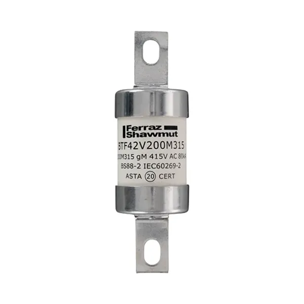 BS fuse-link IEC gM B2 415VAC 240VDC 200M315A BTF Central Bolted Tag image 1