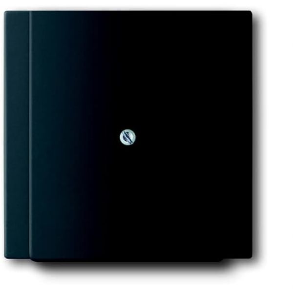1749-775 CoverPlates (partly incl. Insert) carat® black matt image 1