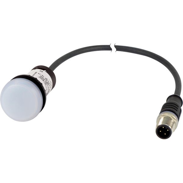 Indicator light, Flush, Cable (black) with M12A plug, 4 pole, 0.2 m, blue/white/red, 24 V DC image 3