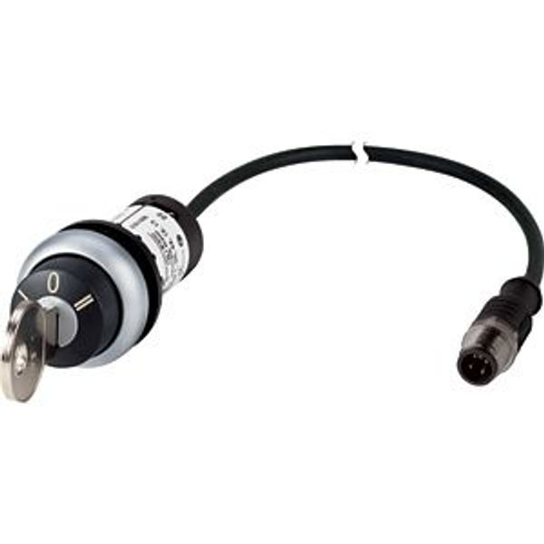Key-operated actuator, RMQ compact solution, momentary, 2 N/O, Cable (black) with M12A plug, 4 pole, 0.2 m, 3 positions, MS1, Bezel: titanium image 5