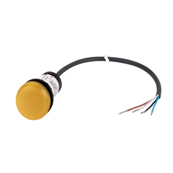 Illuminated pushbutton actuator, Flat, momentary, 1 N/O, Cable (black) with non-terminated end, 4 pole, 3.5 m, LED white, yellow, Blank, 24 V AC/DC, B image 2