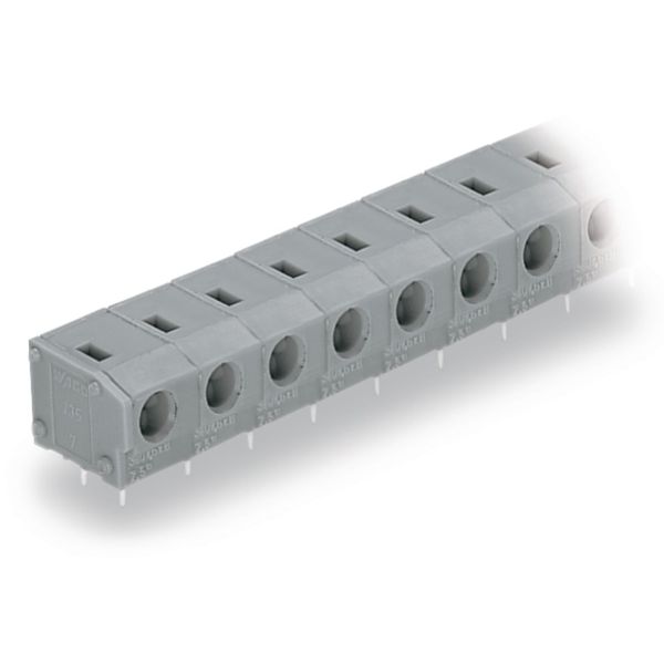 PCB terminal block 2.5 mm² Pin spacing 7.5/7.62 mm gray image 3