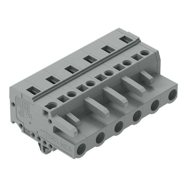 1-conductor female connector CAGE CLAMP® 2.5 mm² gray image 1