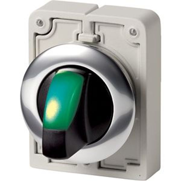 Illuminated selector switch actuator, RMQ-Titan, With thumb-grip, momentary, 2 positions, green, Metal bezel image 2
