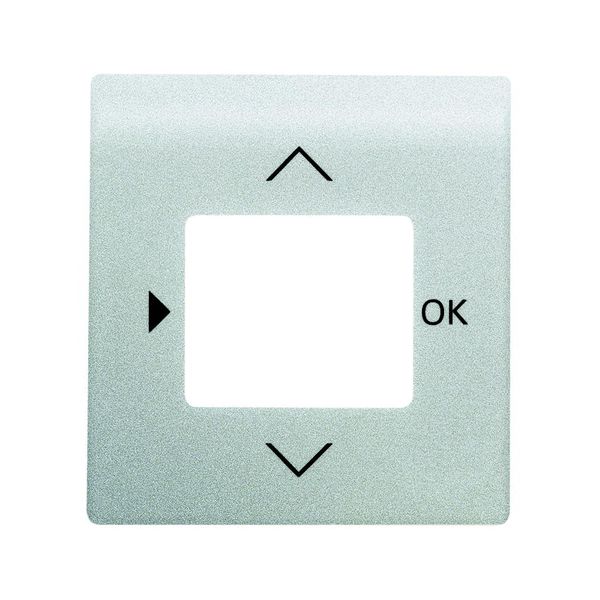 6435-783 CoverPlates (partly incl. Insert) carat® Aluminium silver image 1