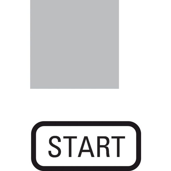 Insert label, transparent, START image 2