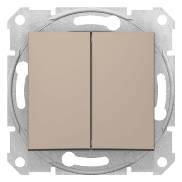 Sedna - double 1pole pushbutton - 10A without frame titanium image 1