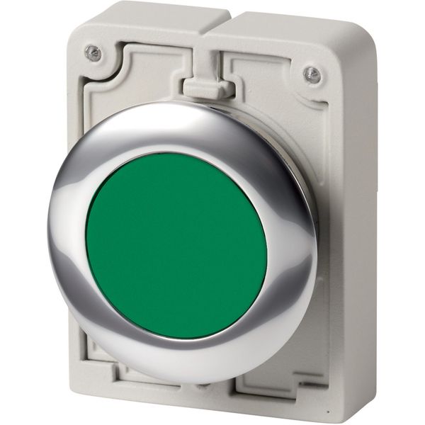 Pushbutton, RMQ-Titan, Flat, maintained, green, Blank, Metal bezel image 2