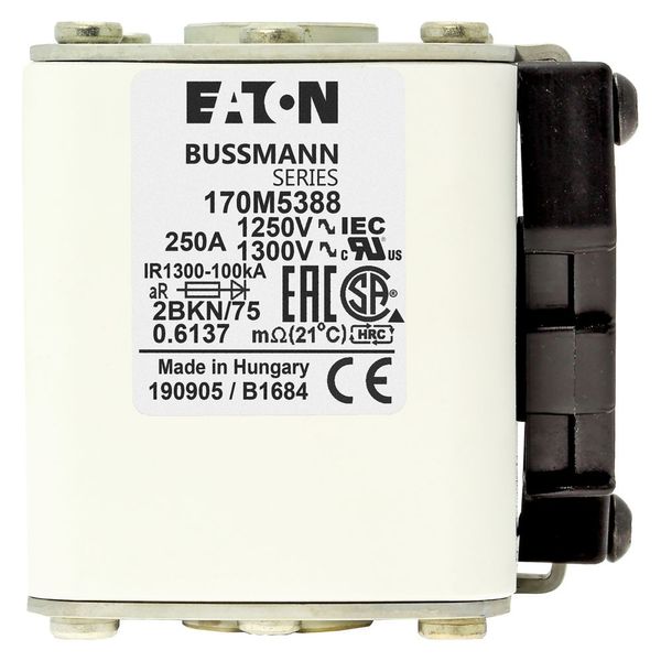 Fuse-link, high speed, 250 A, AC 1250 V, size 2, 61 x 75 x 77 mm, aR, IEC, UL, single indicator image 5