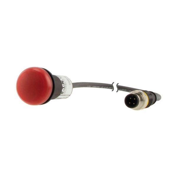 Indicator light, Flat, Cable (black) with M12A plug, 4 pole, 0.2 m, Lens Red, LED Red, 24 V AC/DC image 12