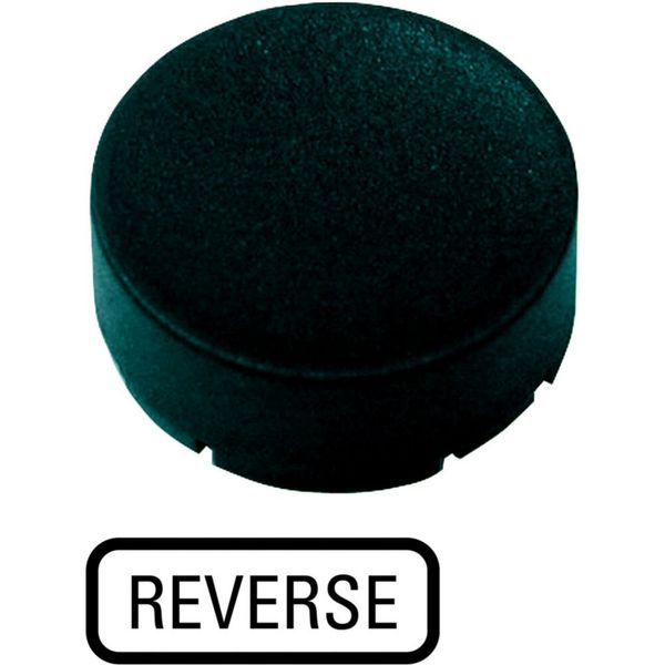 Button plate, raised black, REVERSE image 6