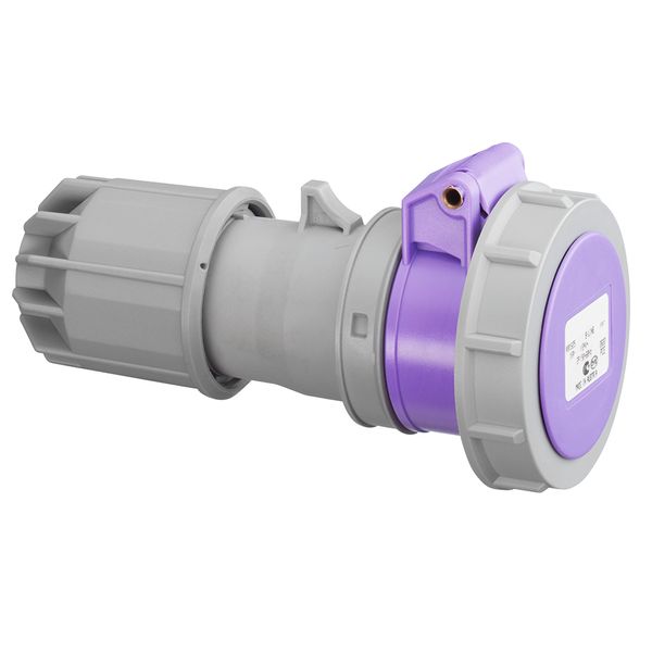 CEE connector, IP67, 16A, 2-pole, 24V, purple image 1