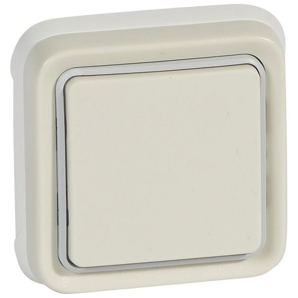 Switch Plexo IP 55 - 2-way - 10 AX - 250 V~ - flush mounting - white image 1