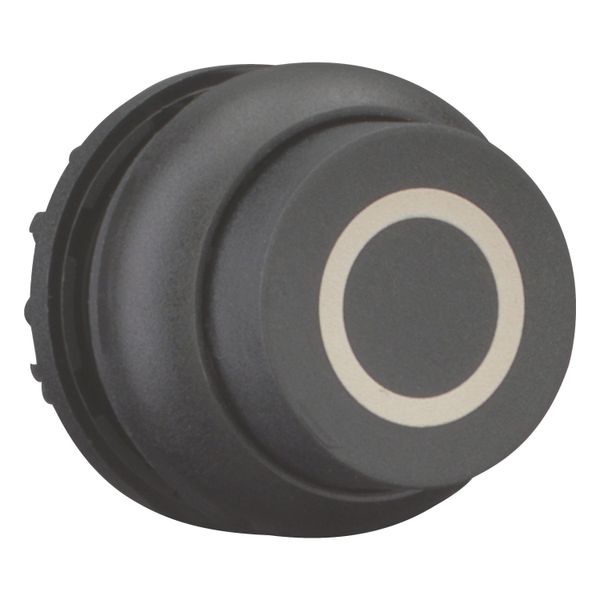 Pushbutton, RMQ-Titan, Extended, momentary, black, inscribed, Bezel: black image 12