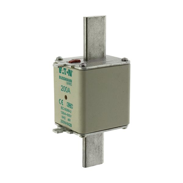 Fuse-link, low voltage, 200 A, AC 500 V, NH2, aM, IEC, dual indicator image 8