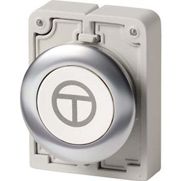 Pushbutton, RMQ-Titan, flat, momentary, White, inscribed, Front ring stainless steel, ON/OFF image 2