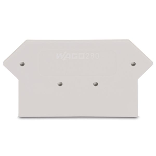 End and intermediate plate 2.5 mm thick light gray image 4