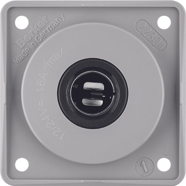 Socket outlet 12 V, Integro Module inserts, grey glossy image 1