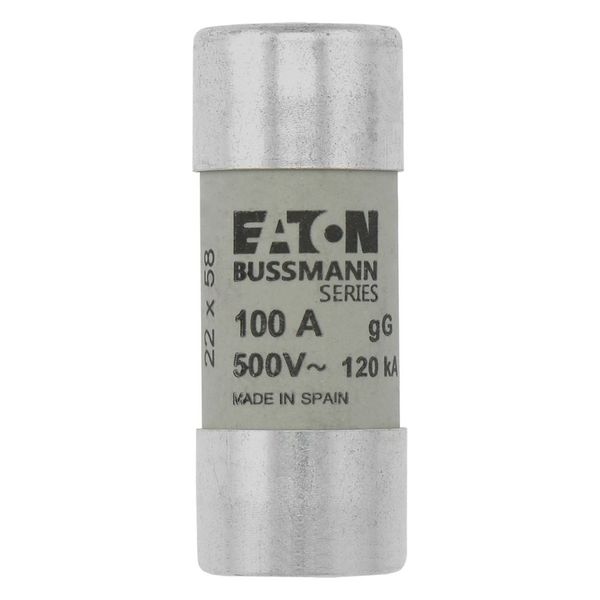 Fuse-link, LV, 100 A, AC 500 V, 22 x 58 mm, gL/gG, IEC, with striker image 5