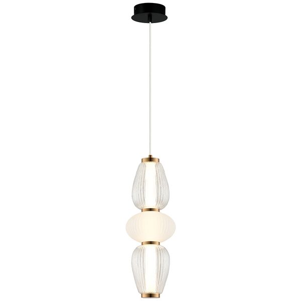 Pendant Light  Shiny image 1