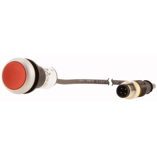 Pushbutton, flat, maintained, red, 1 N/C, with cable 0.5m and M12A plug image 2