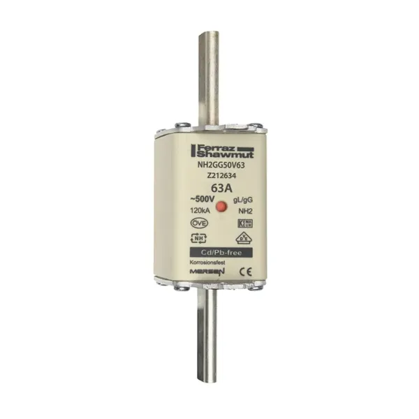 Fuse-link NH2 gG 500VAC 63A live tags Double indicator image 2