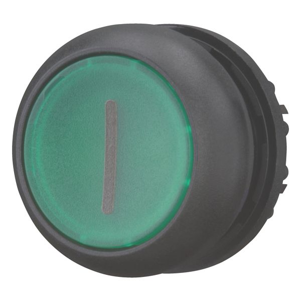 Illuminated pushbutton actuator, RMQ-Titan, Flush, momentary, green, inscribed, Bezel: black image 3