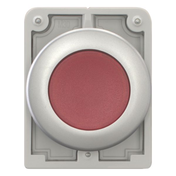 Illuminated pushbutton actuator, RMQ-Titan, Flat, momentary, red, Blank, Metal bezel image 4