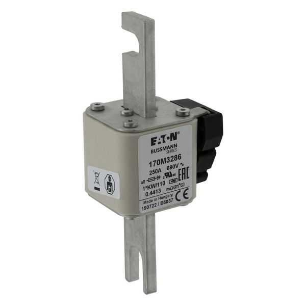 FUSE 250A 690V 1*KW/110 AR. image 16