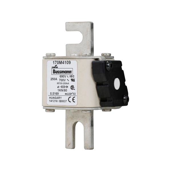 Fuse-link, high speed, 250 A, AC 690 V, DIN 1, 53 x 69 x 108 mm, aR, DIN, IEC, single indicator image 6