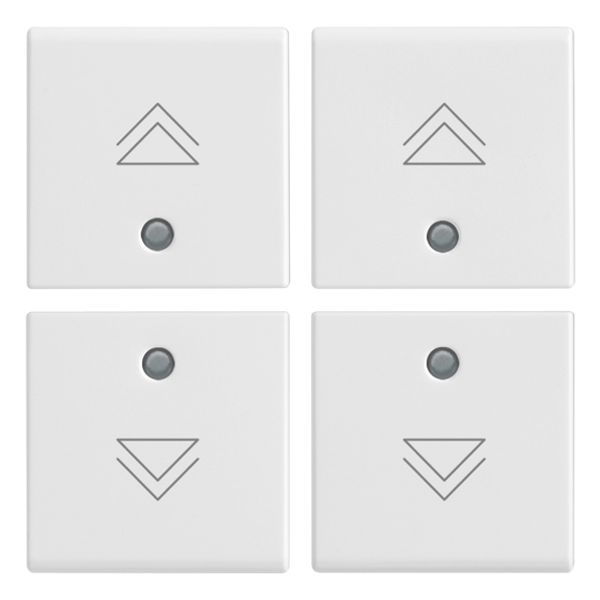 Four half-buttons 1M regul.symbol white image 1