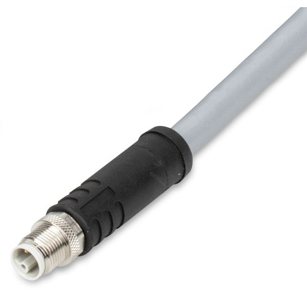 Power cable M12L plug straight 5-pole image 1