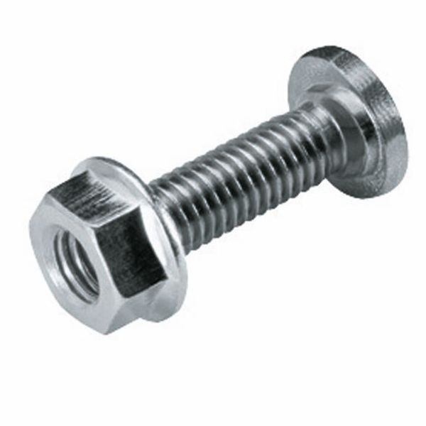 BOLT - WITH FLANGED NUT - M6x20 - FINISHING: INOX 316L image 2