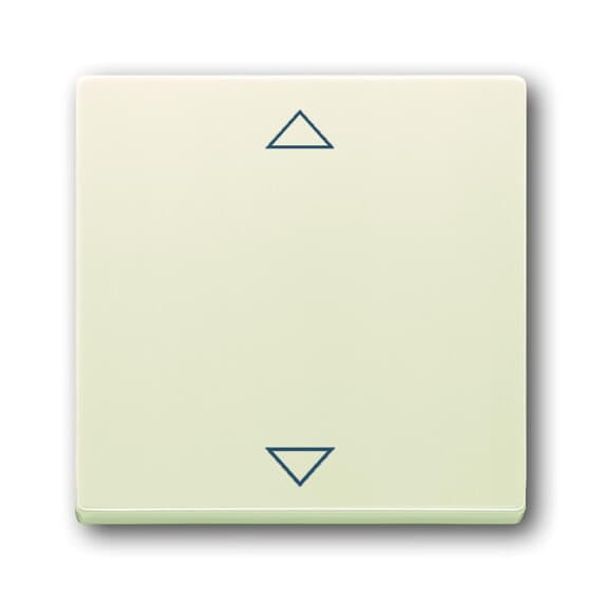 6430-82-102 CoverPlates (partly incl. Insert) future®, solo®; carat®; Busch-dynasty® ivory white image 2