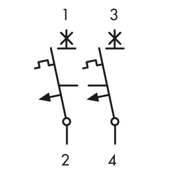 Miniature Circuit Breaker (MCB) AMPARO 10kA, B 50A, 2-pole image 9