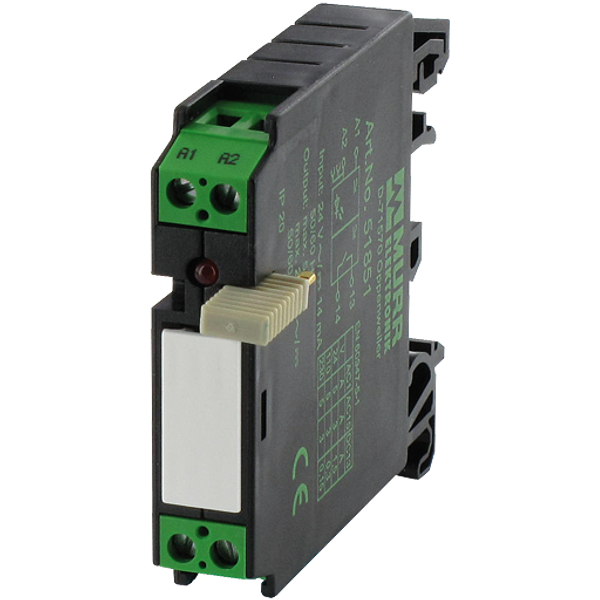 RMME 11/24  INPUT RELAY IN: 24VAC/DC - OUT: 125 VAC/DC/1A image 1