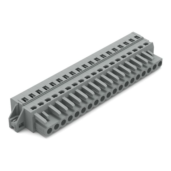 1-conductor female connector CAGE CLAMP® 2.5 mm² gray image 1