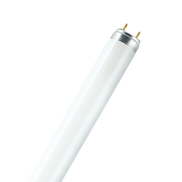 T8 Fluorescent lamp special length F25W/54 28 -765 G13 600 mm image 1