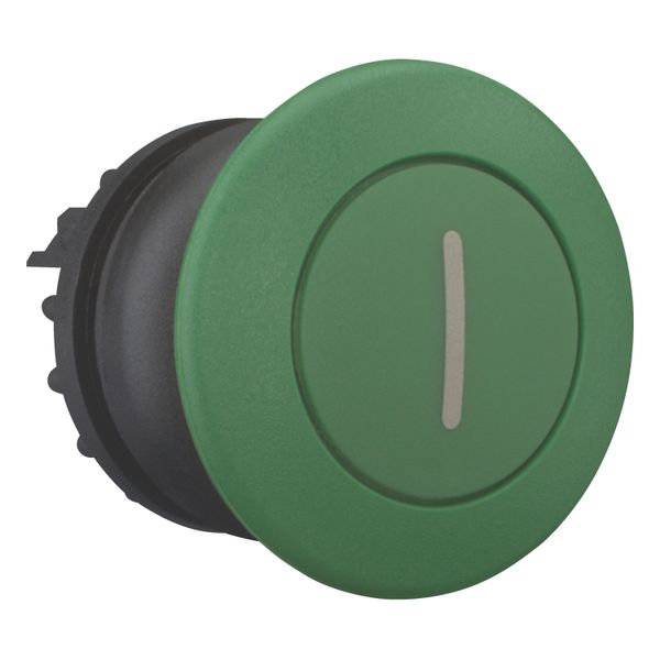 Mushroom actuator, RMQ-Titan, Mushroom, momentary, Mushroom green, green, inscribed, Bezel: black image 11