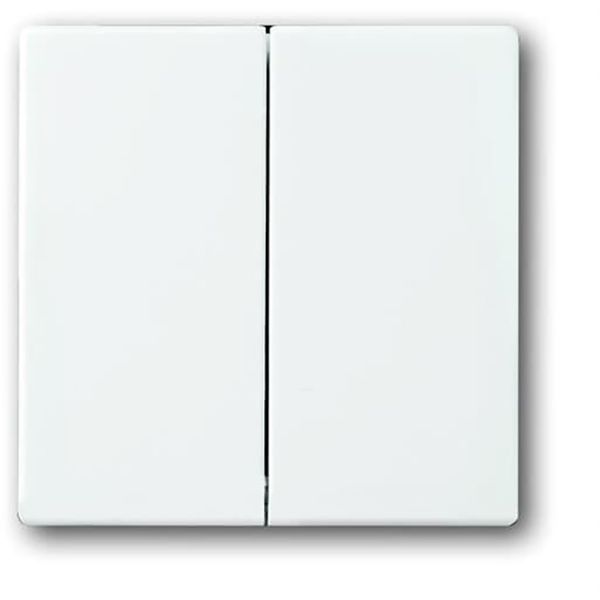 1785-84 CoverPlates (partly incl. Insert) future®, Busch-axcent®, solo®; carat® Studio white image 1