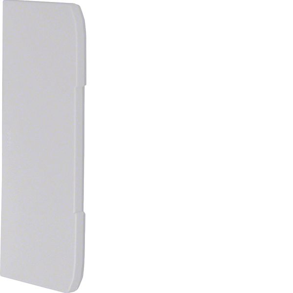 Endcap overlapping for wall trunking BRHN 70x170mm halogen free in lig image 1