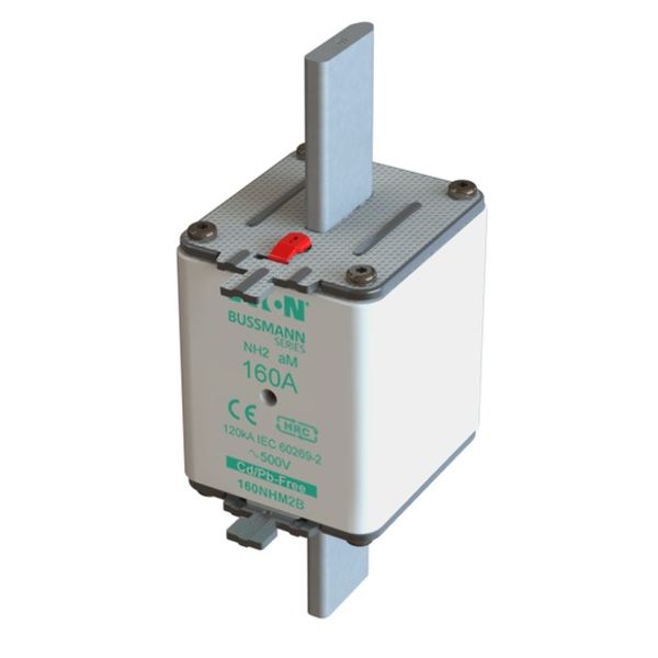 Fuse-link, low voltage, 160 A, AC 500 V, NH2, aM, IEC, dual indicator image 2