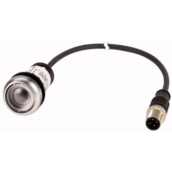 Pushbutton, Flat, momentary, 1 N/O, Cable (black) with M12A plug, 4 pole, 1 m, Without button plate, Bezel: titanium image 1