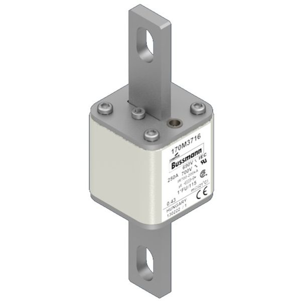 Fuse-link, high speed, 250 A, AC 690 V, compact size 1, 45 x 45 x 148 mm, aR, IEC, UL image 1