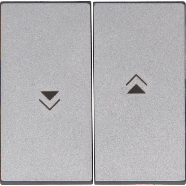 Double Rocker pad with arrows image 1